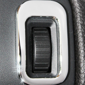 2010 Dimmer Badge smooth close up
